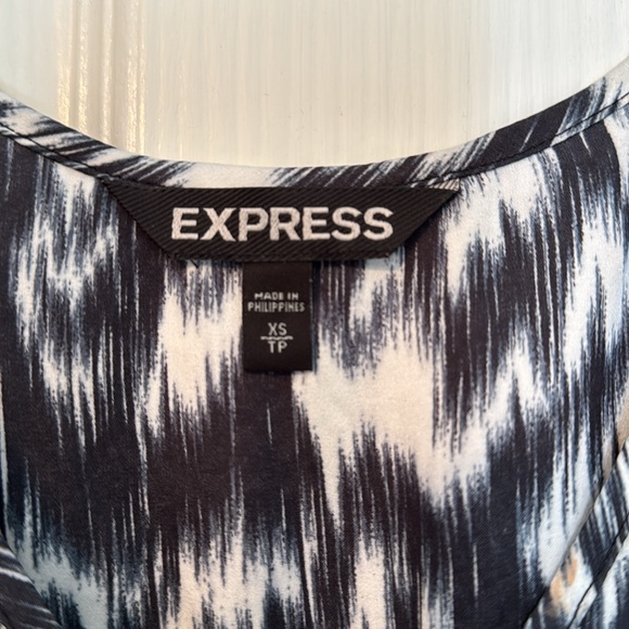 Express Dress - Picture 4 of 5